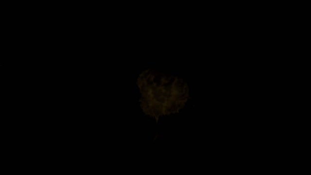 30381235-hd-mp4